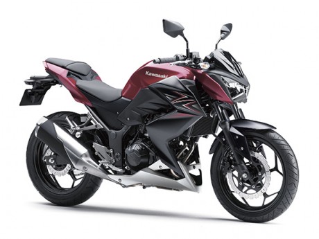 16_ER250C_RED_RF