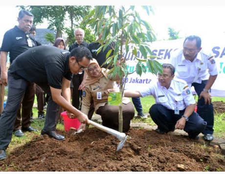PR-AHM-hutan1