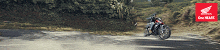 440x100_supragtr150