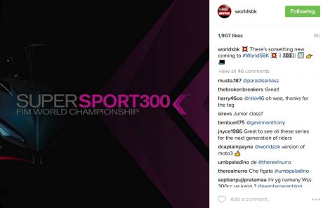 ss300