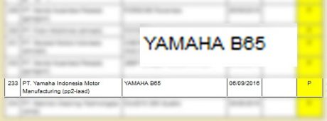 TPT-yamahaB65