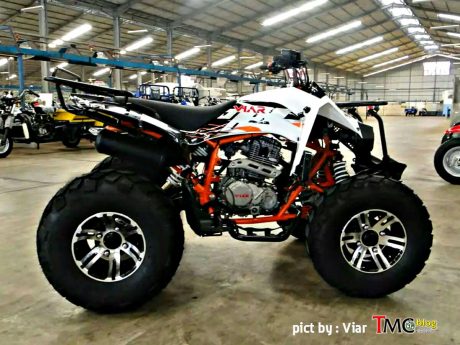 VIAR-ATV-Razor-250-SUT-2