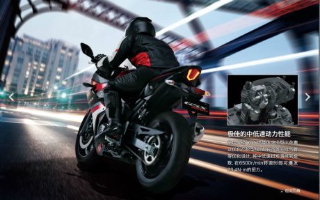 2017-suzuki-gsx-250r-china-8