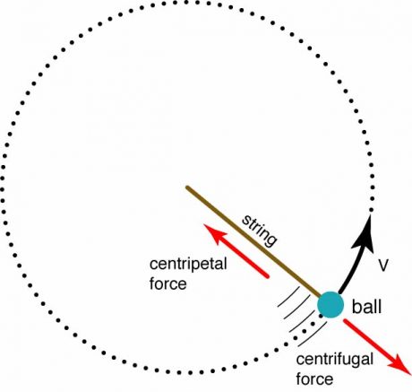 sentrifugal