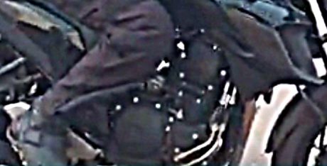 fz25