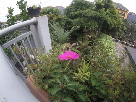 gopro-hero-entry-020