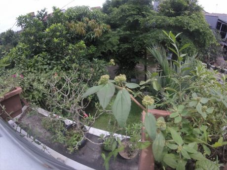 gopro-hero-entry-021