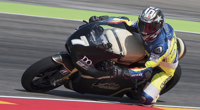 sarolea_2