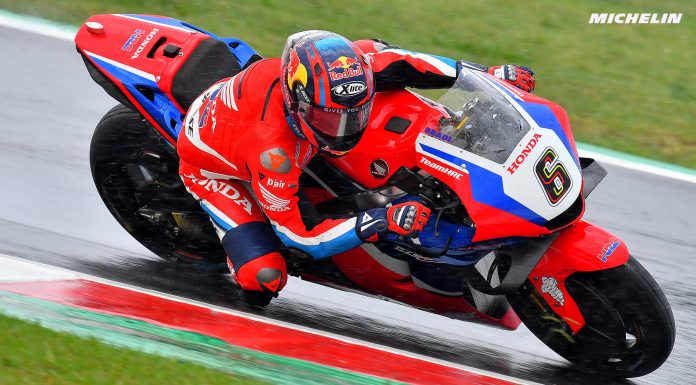 bradl-1