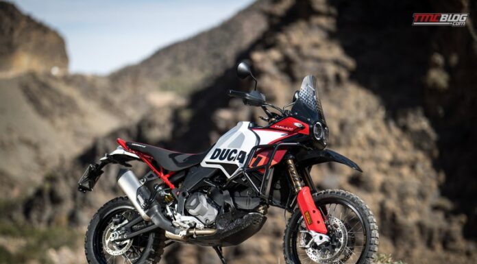 DUCATI DESERTX RALLY(1)